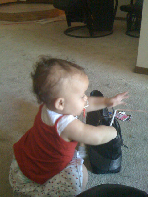 Playing in mommy's purse