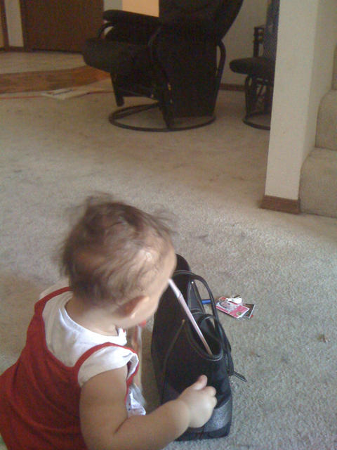 Playing in mommy's purse 2