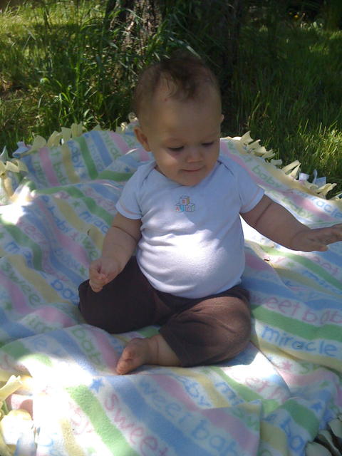 Under the tree 3