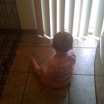 Peering out