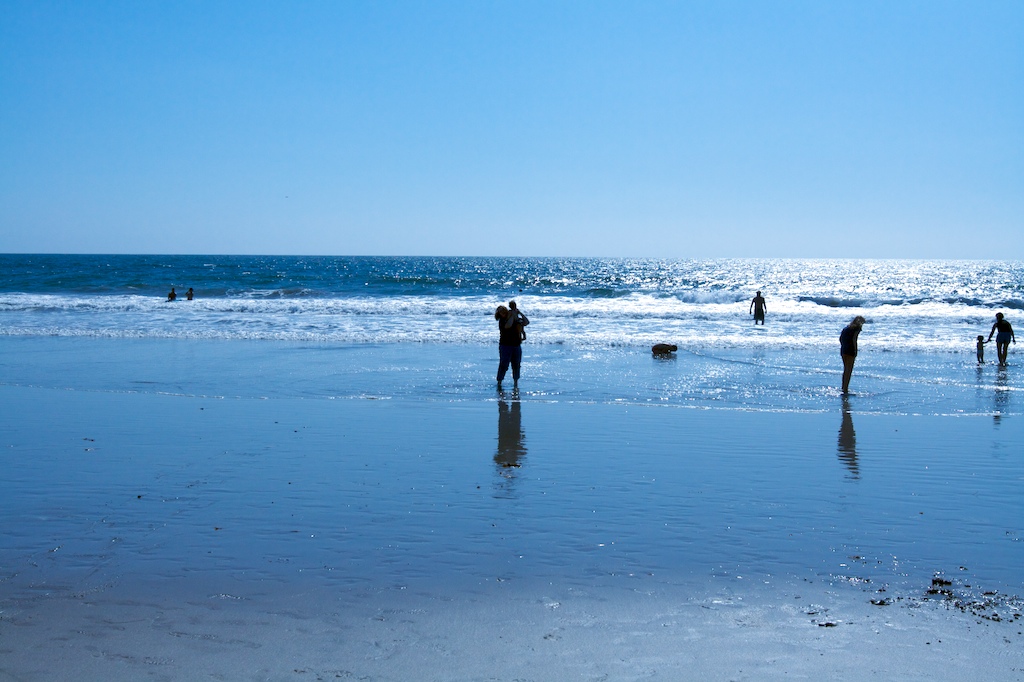 A Day at Santa Monica Beach 3