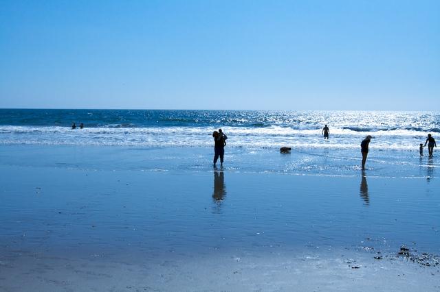 A Day at Santa Monica Beach 3