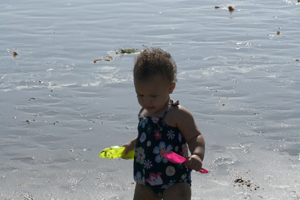 A Day at Santa Monica Beach 14