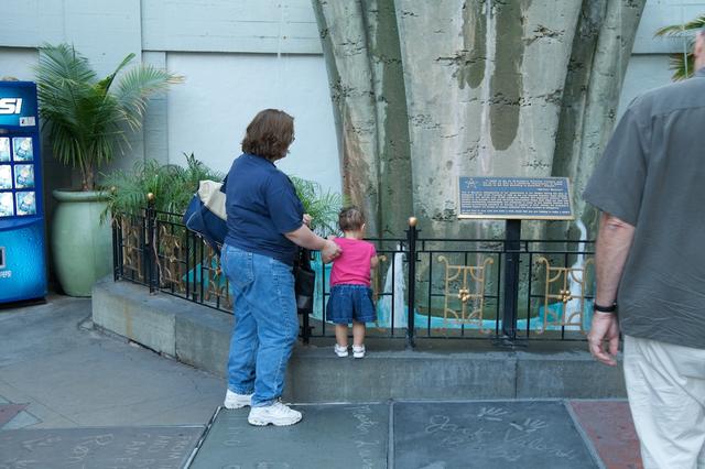 City Tour 9