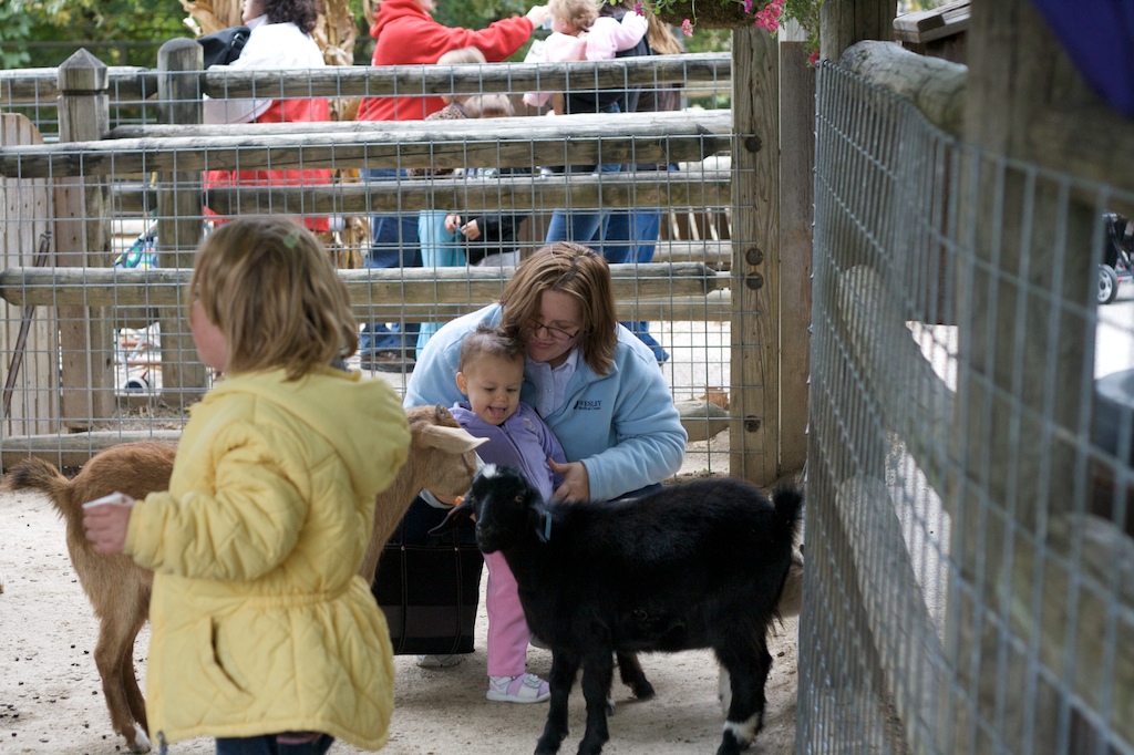 Deanna Rose Childrens Farmstead 19