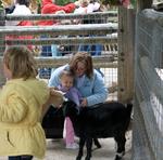 Deanna Rose Childrens Farmstead 19
