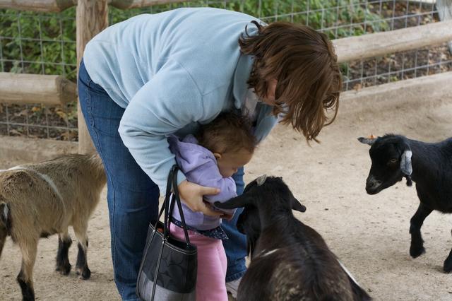 Deanna Rose Childrens Farmstead 26
