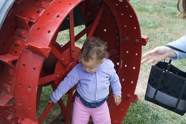 Red Tractor Wheel 1