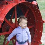 Red Tractor Wheel 2