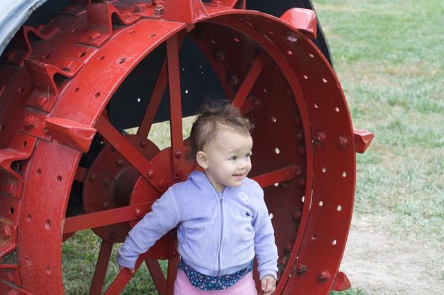 Red Tractor Wheel 2