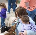 Baby Goat Feeding 5