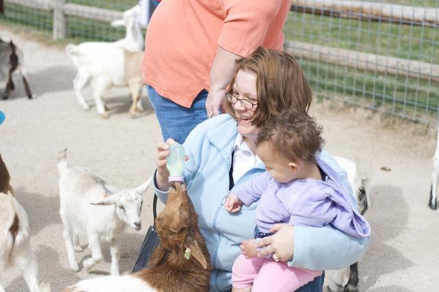 Baby Goat Feeding 6