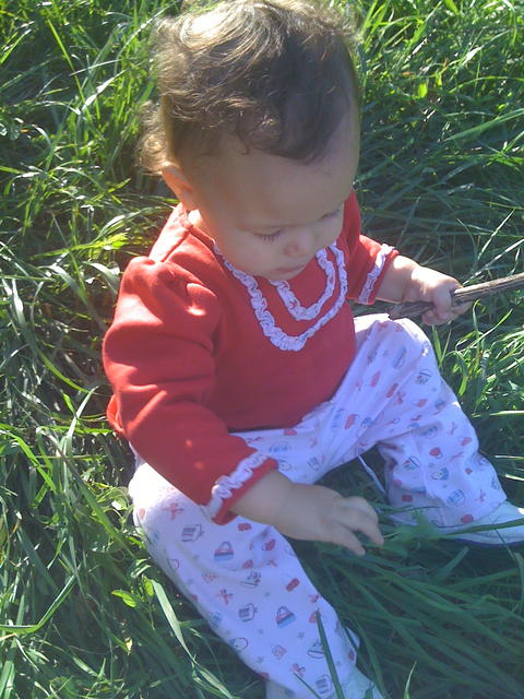 Still playing in the grass