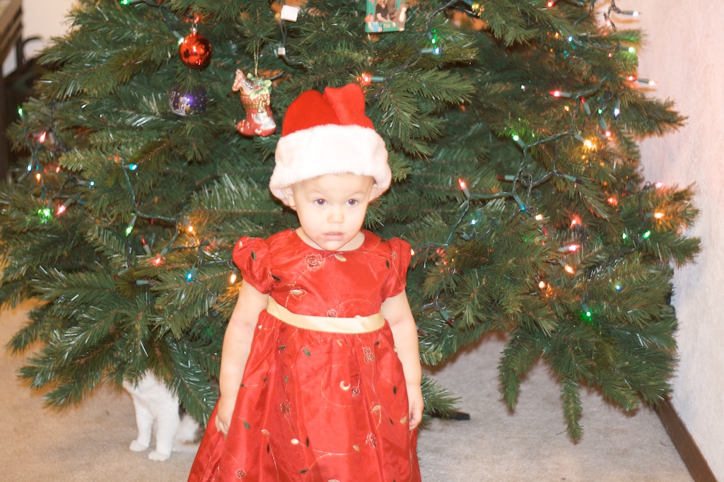 Christmas 2009 1