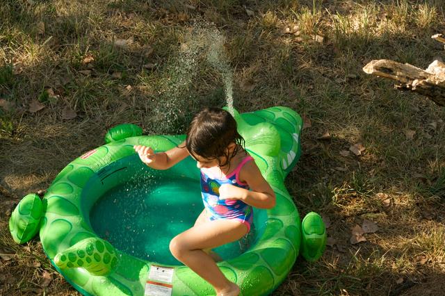 WBBQ 2010 Backyard Fun 2