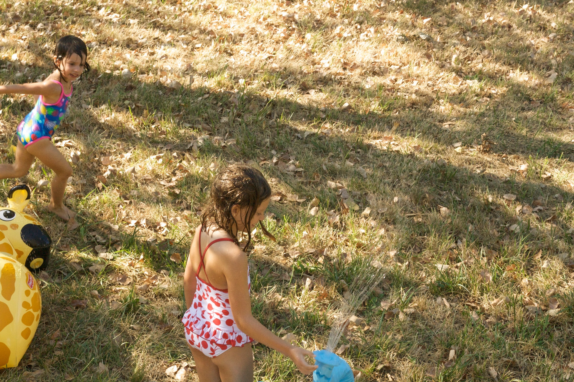 WBBQ 2010 Backyard Fun 3