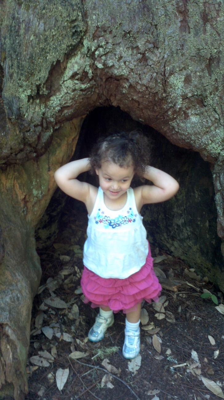 In the Tree 3