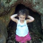 In the Tree 3