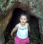 In the Tree 2