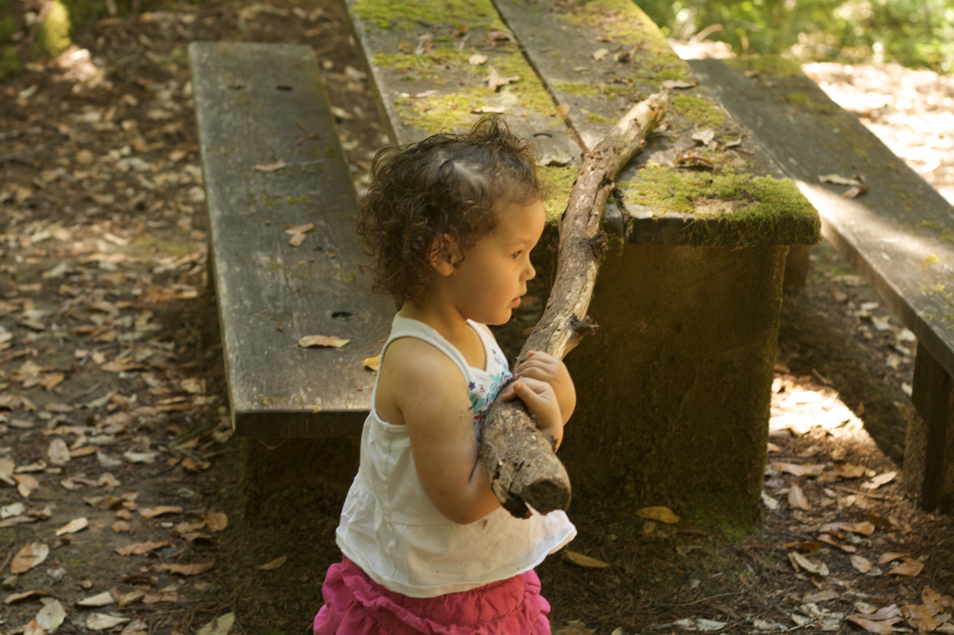 Big Basin July 2011 3