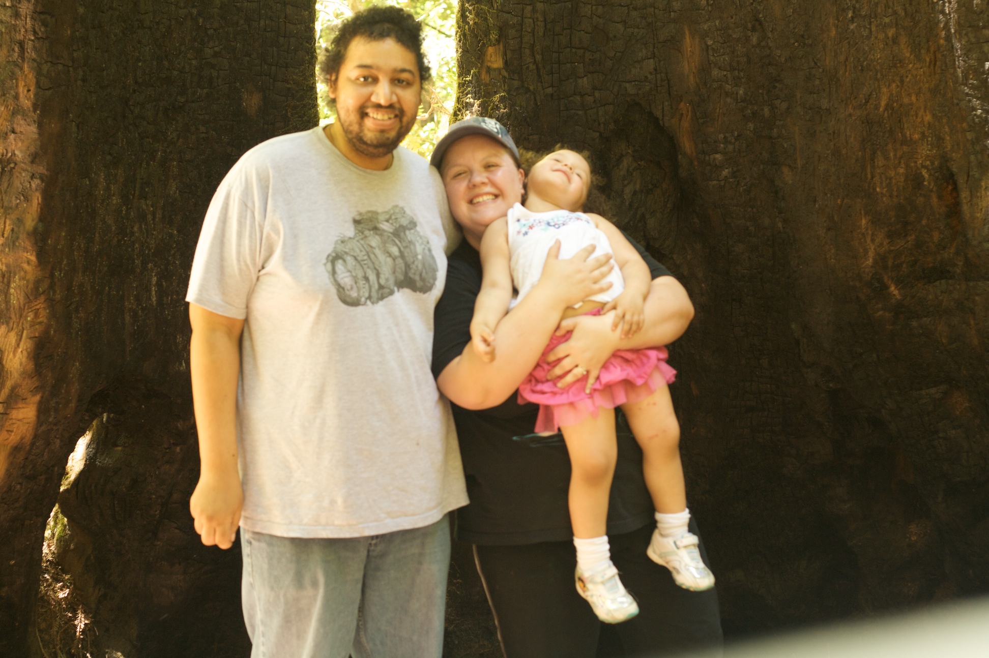 Big Basin July 2011 6