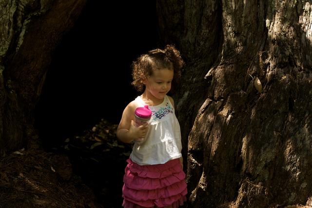 Big Basin July 2011 9