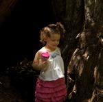Big Basin July 2011 9