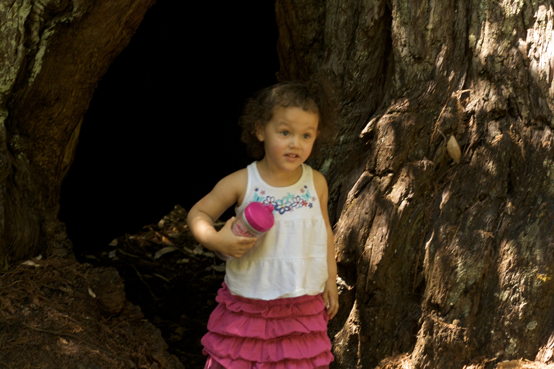 Big Basin July 2011 11