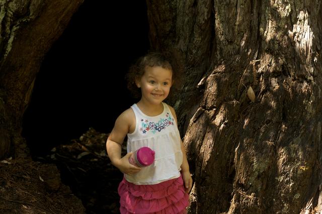 Big Basin July 2011 12