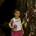Big Basin July 2011 12