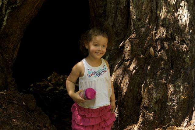 Big Basin July 2011 13