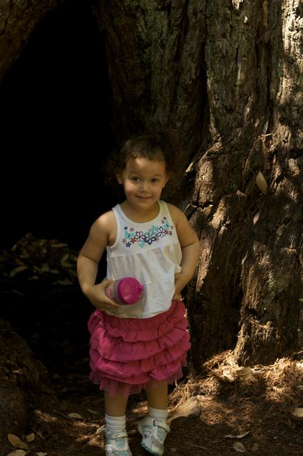 Big Basin July 2011 14