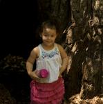 Big Basin July 2011 14