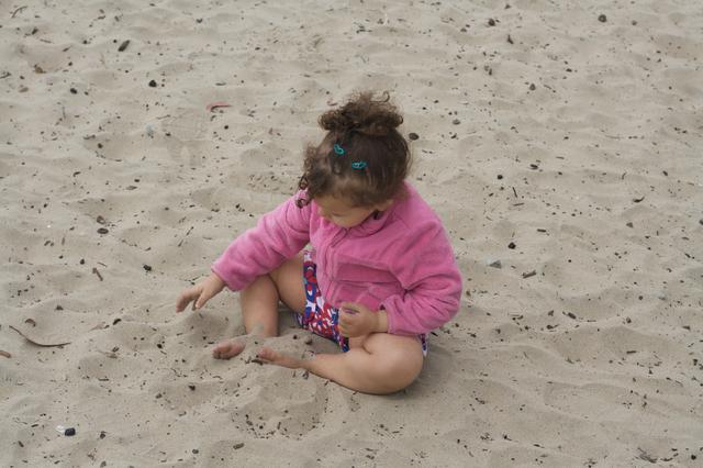 Monterey Bay Beach June 2011