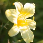 IMG_2114