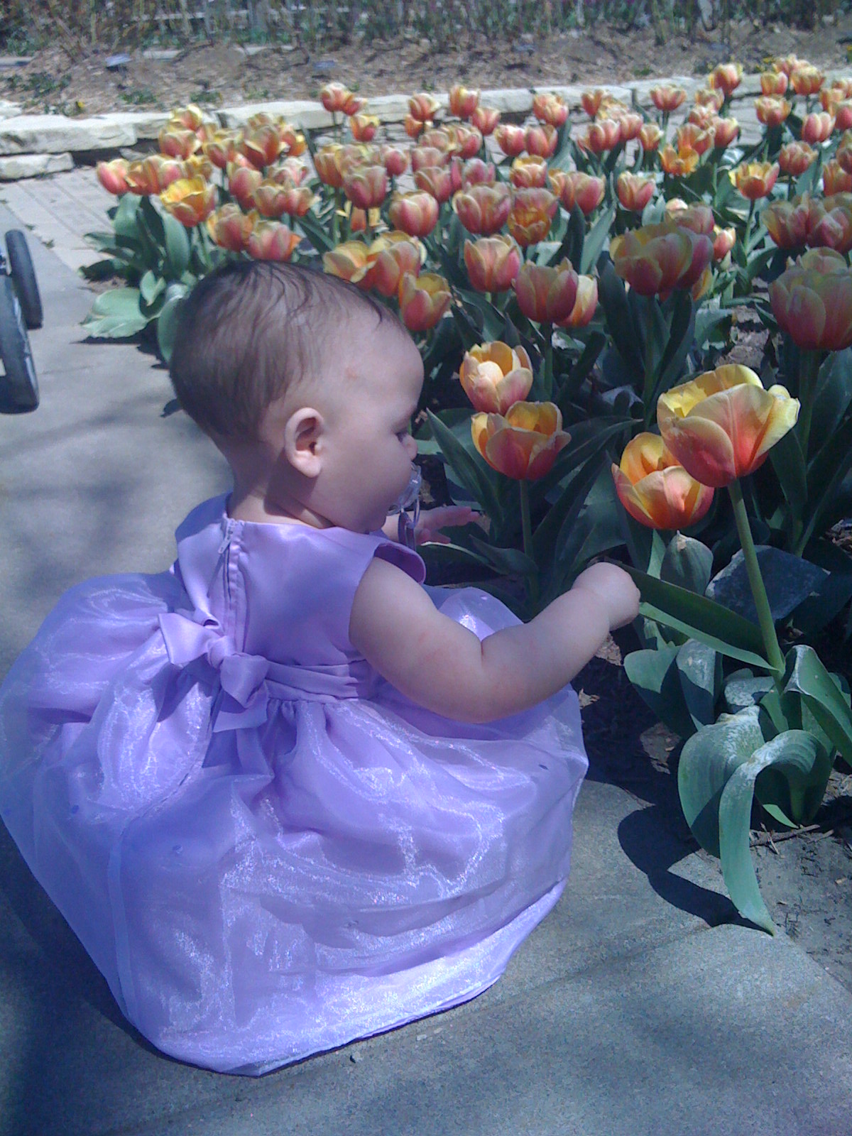 At Botanica 2