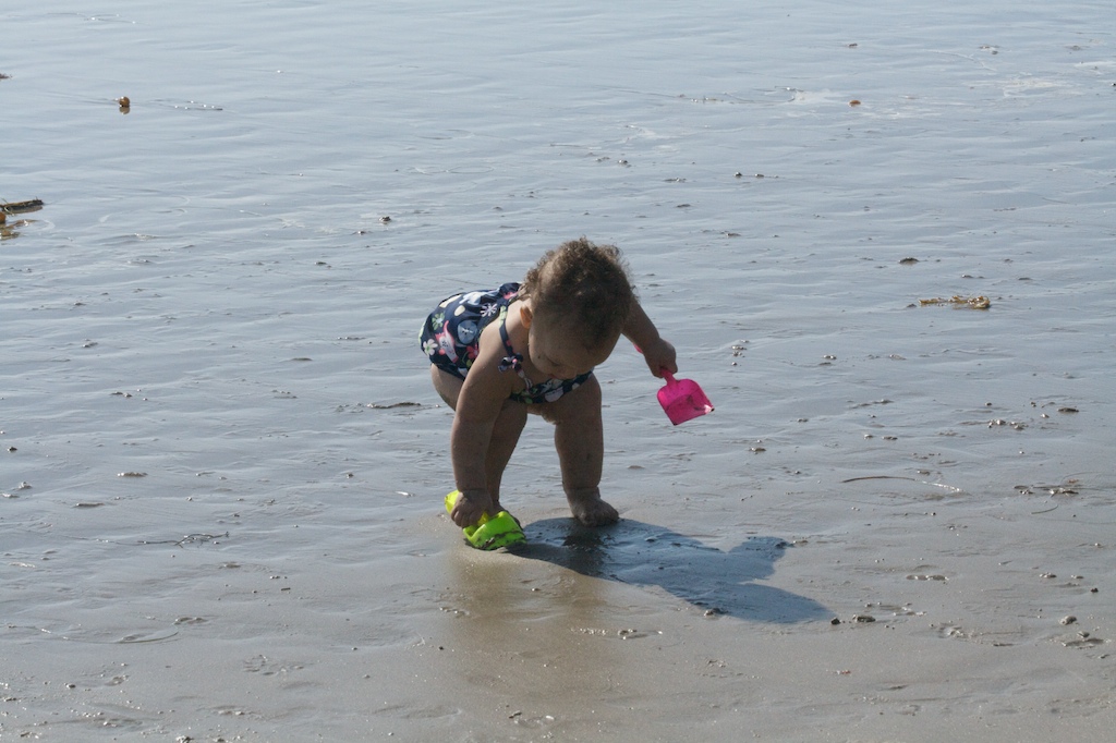 A Day at Santa Monica Beach 15