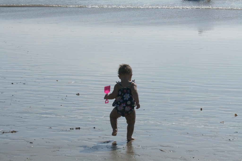 A Day at Santa Monica Beach 28