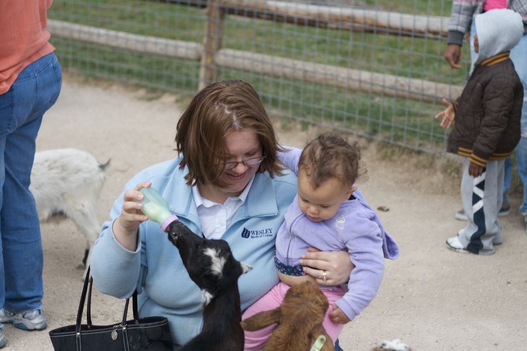 Baby Goat Feeding 9