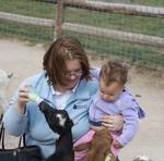 Baby Goat Feeding 9